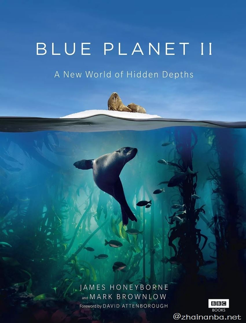 蓝色星球2 蓝色星球 纪录片 