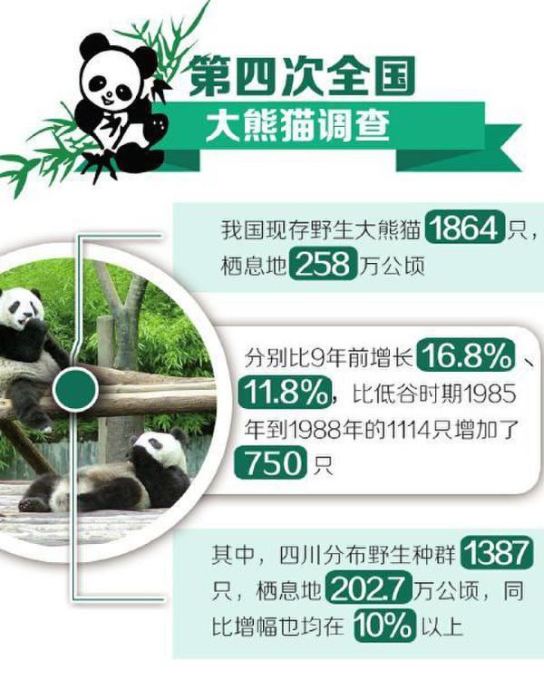 熊猫 国宝 